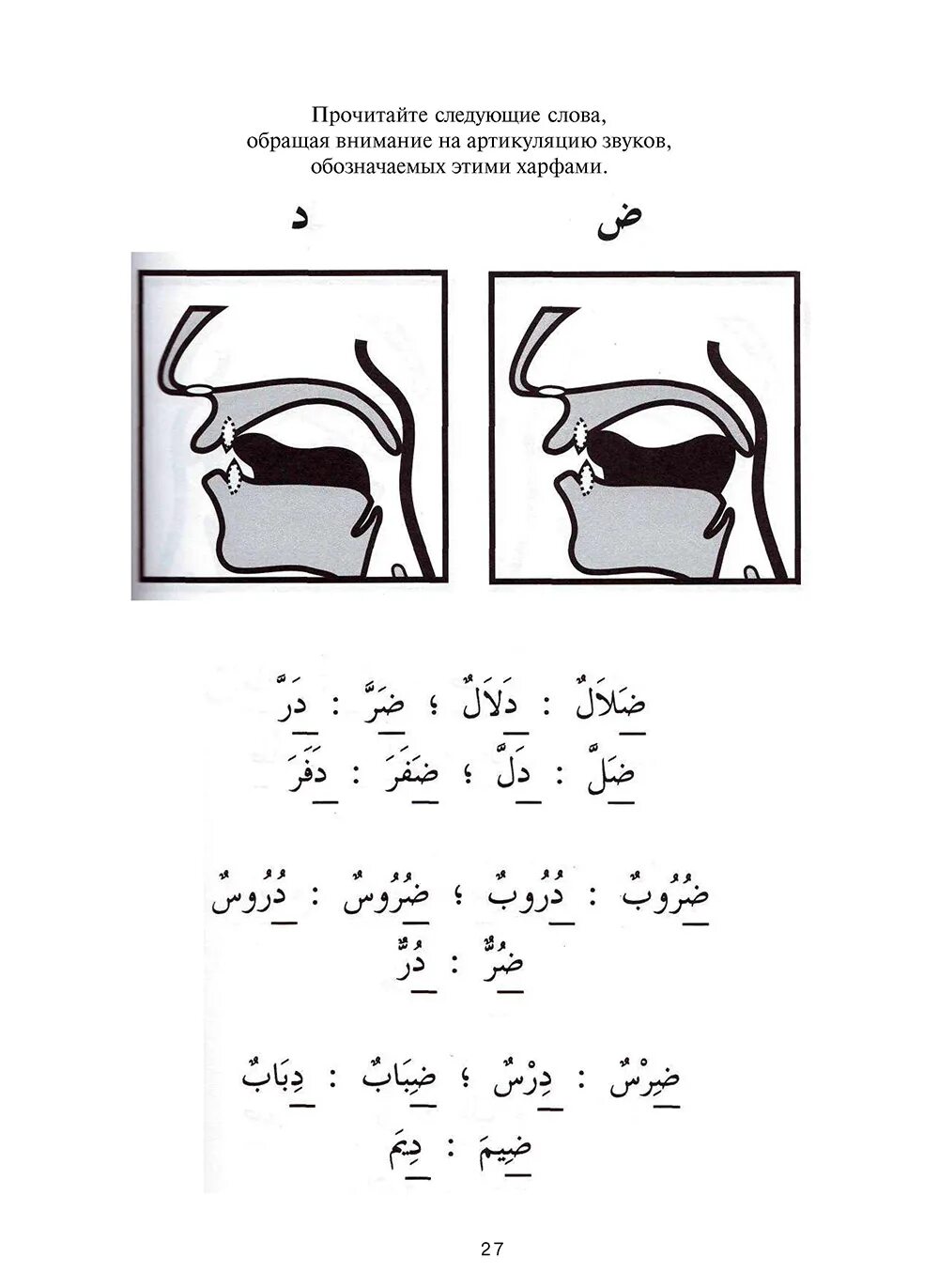 Арабский алфавит таджвид. Артикуляция арабских букв. Артикуляция арабских звуков. Артикуляция арабских букв, звуков.