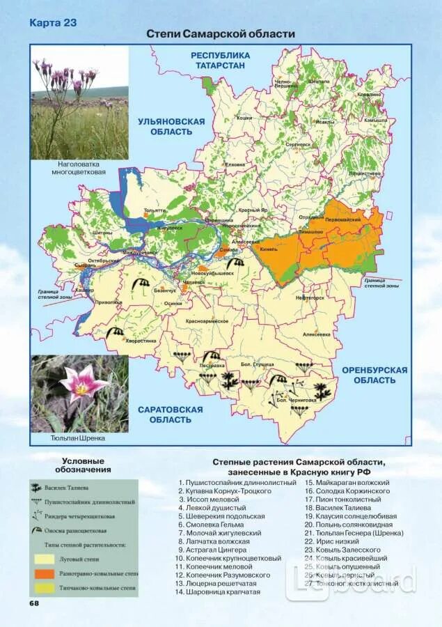 Обзорный атлас окружающей среды Самарской области. Карта грунтов Самарской области. Карта почв Самарской области. Карта Самарской области с животными.