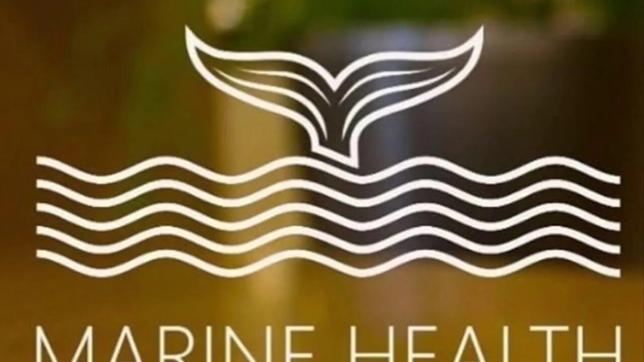 Продукция компании marine health group. Маркетинг марине хелз. Marine health продукция. Marine health. Health marina.