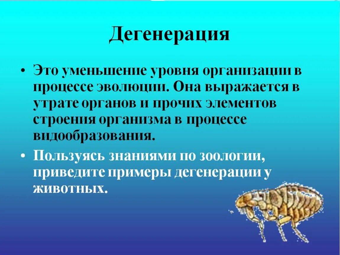 Приведите пример процесса у животных