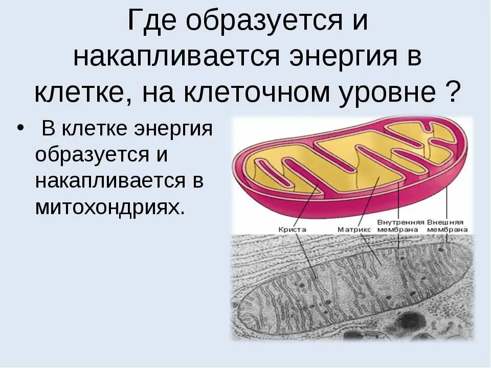 Откуда появился энергия. Откуда берётся энегрия в солнце. Откуда появился энергия. Откуда берётся ветер на земле. Откуда появился энергия.