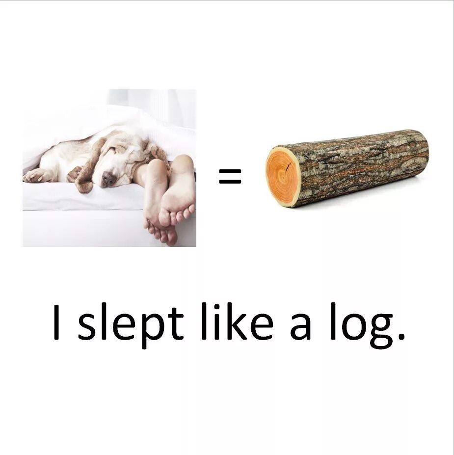 Sleep like a log. Sleep like a log idiom. Idioms about sleeping. Sleep like a log meaning. Slept like now