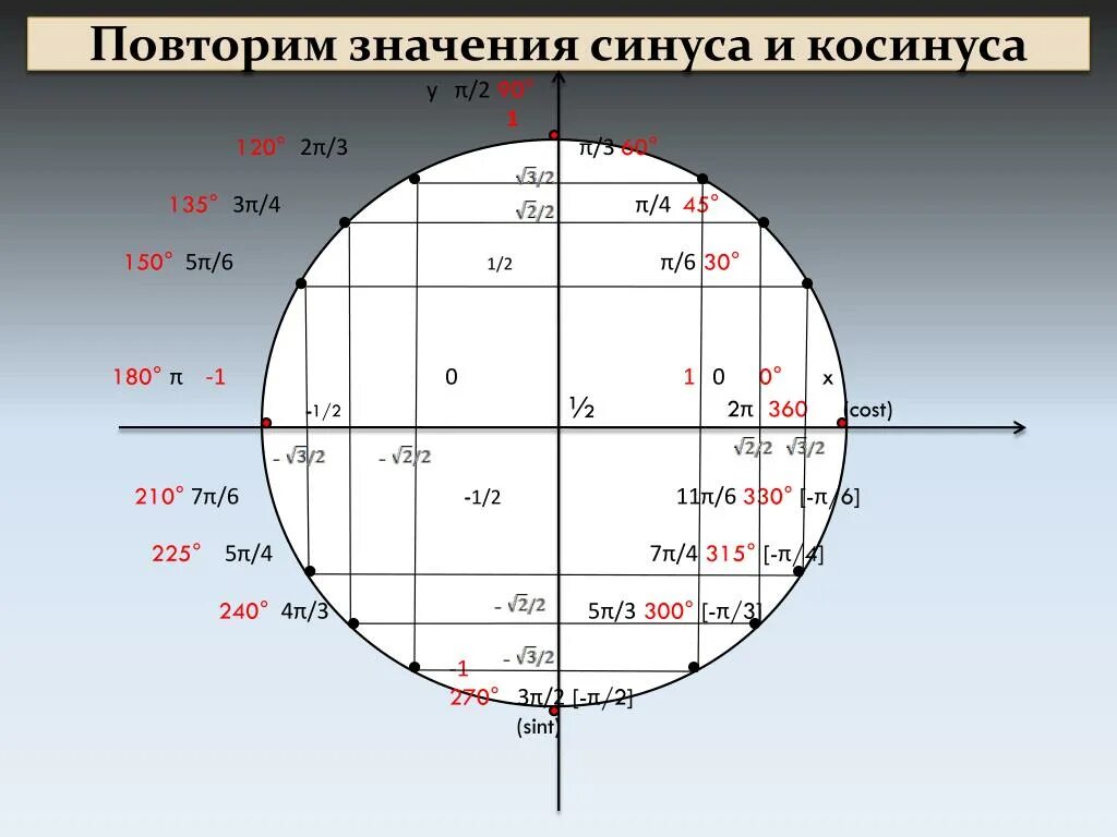 Косинус 1 на тригонометрическом круге. Тригонометрическая окружность 10 класс. Круг синус косинус п6 точки. Единичная окружность со значениями синусов и косинусов.