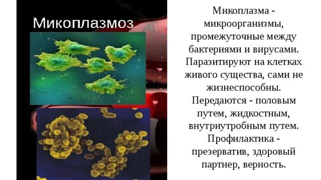 Заболевания передающиеся микроорганизмами