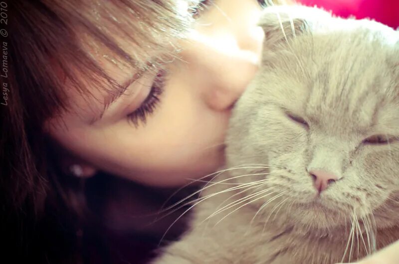 котенок мотиватор. кошачье мурчание. теплые коты летят по небу облаками. теплые коты. довольный котик.