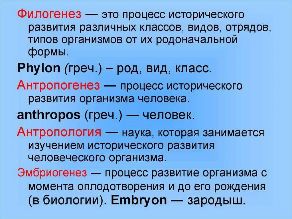 Что подразумевается под термином филогенез. Филогенез. филогенез это в биологии. понятие филогенез. филогенезис в биологии.