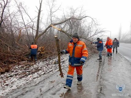 Дорожник республика