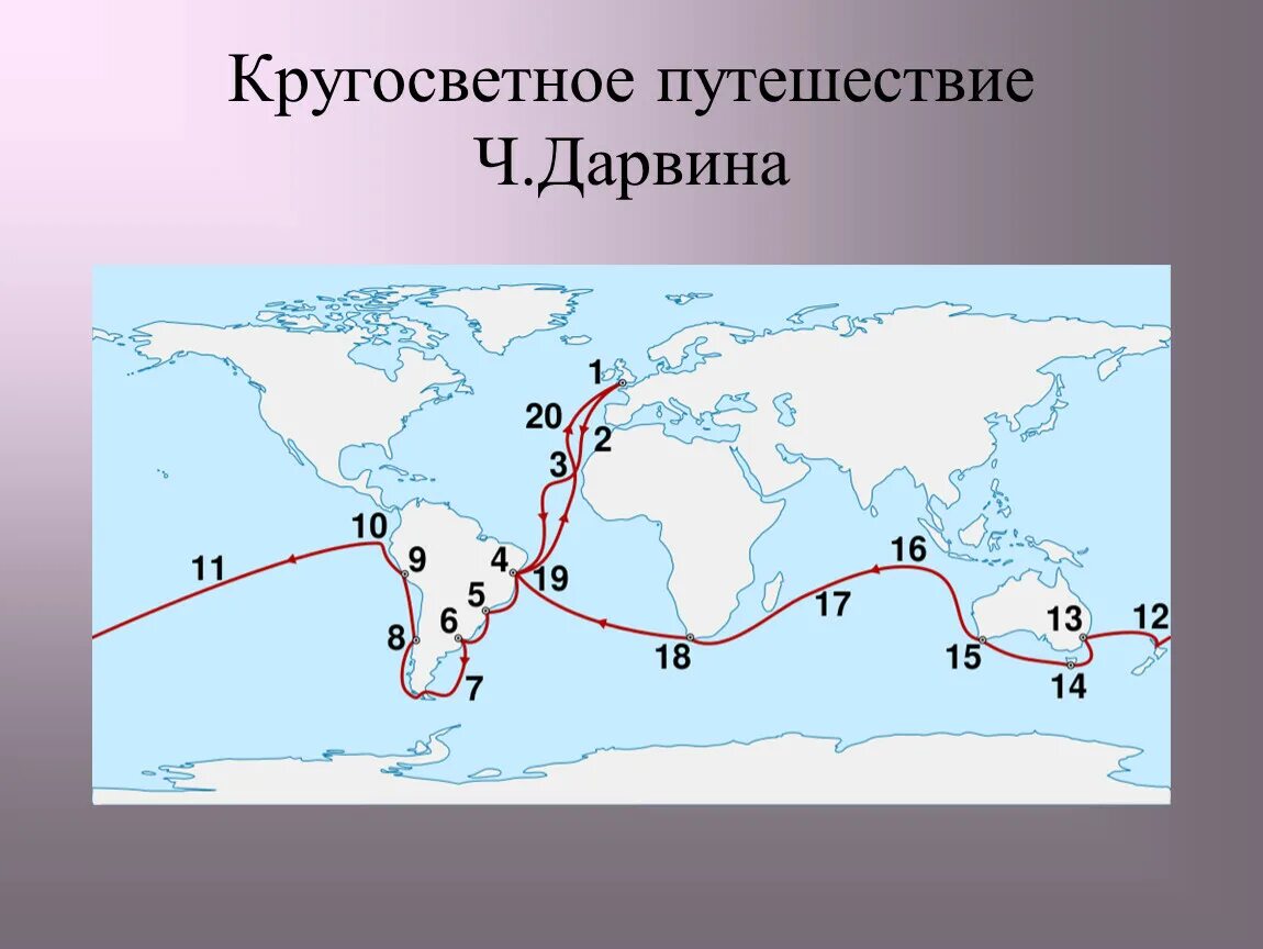 Ч дарвин кругосветное путешествие. Маршрут кругосветного путешествия Чарльза Дарвина. Кругосветное путешествие Дарвина на корабле Бигль карта. Путешествие Чарльза Дарвина на корабле Бигль маршрут. Карта путешествия Чарльза Дарвина.