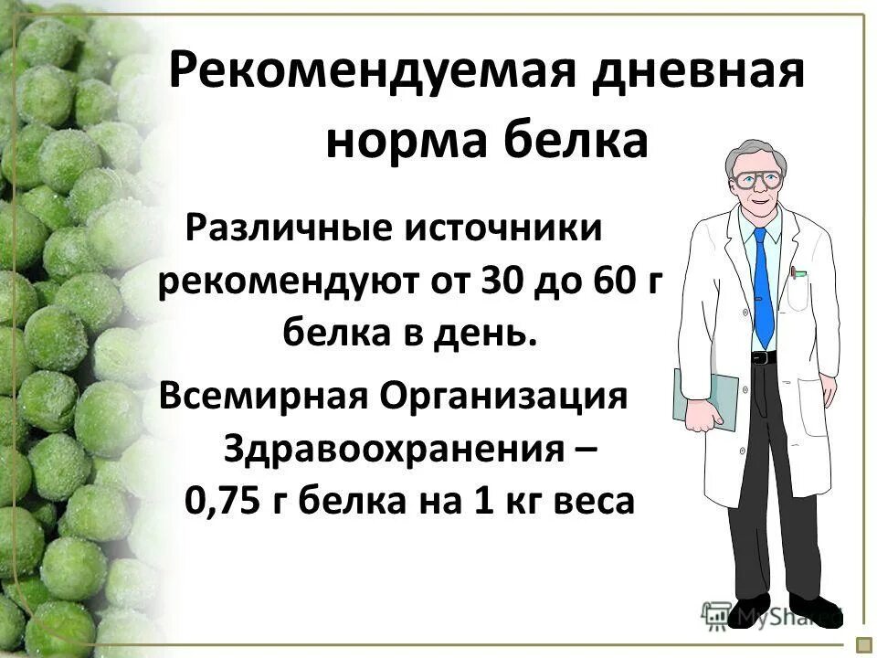 Средняя норма белка