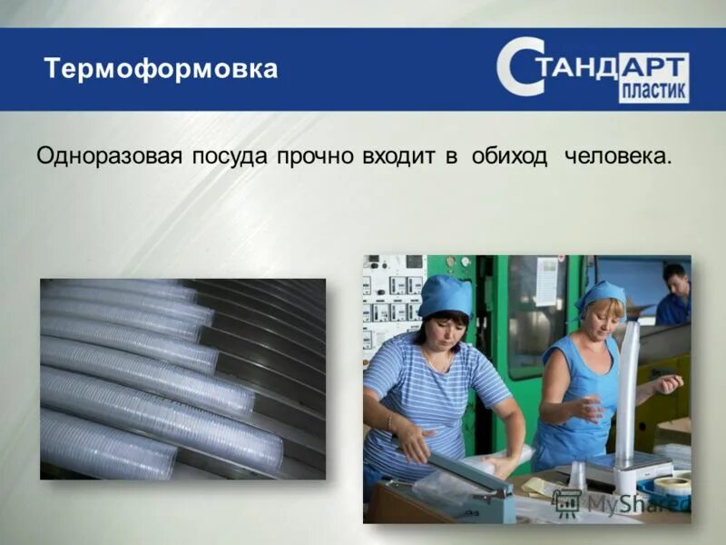 прочно вошел в обиход. прочно вошел в обиход. география ломоносова. игра слов с матершинными словами. прочно вошел в обиход.