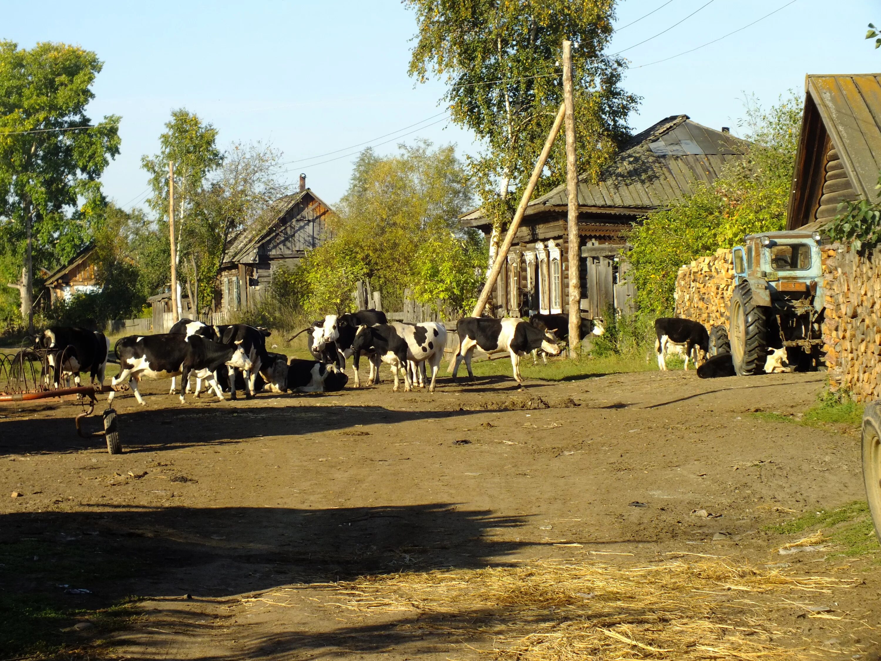 Деревни сегодня. Деревенская улица. Российская деревня. Моя деревня. В селе.