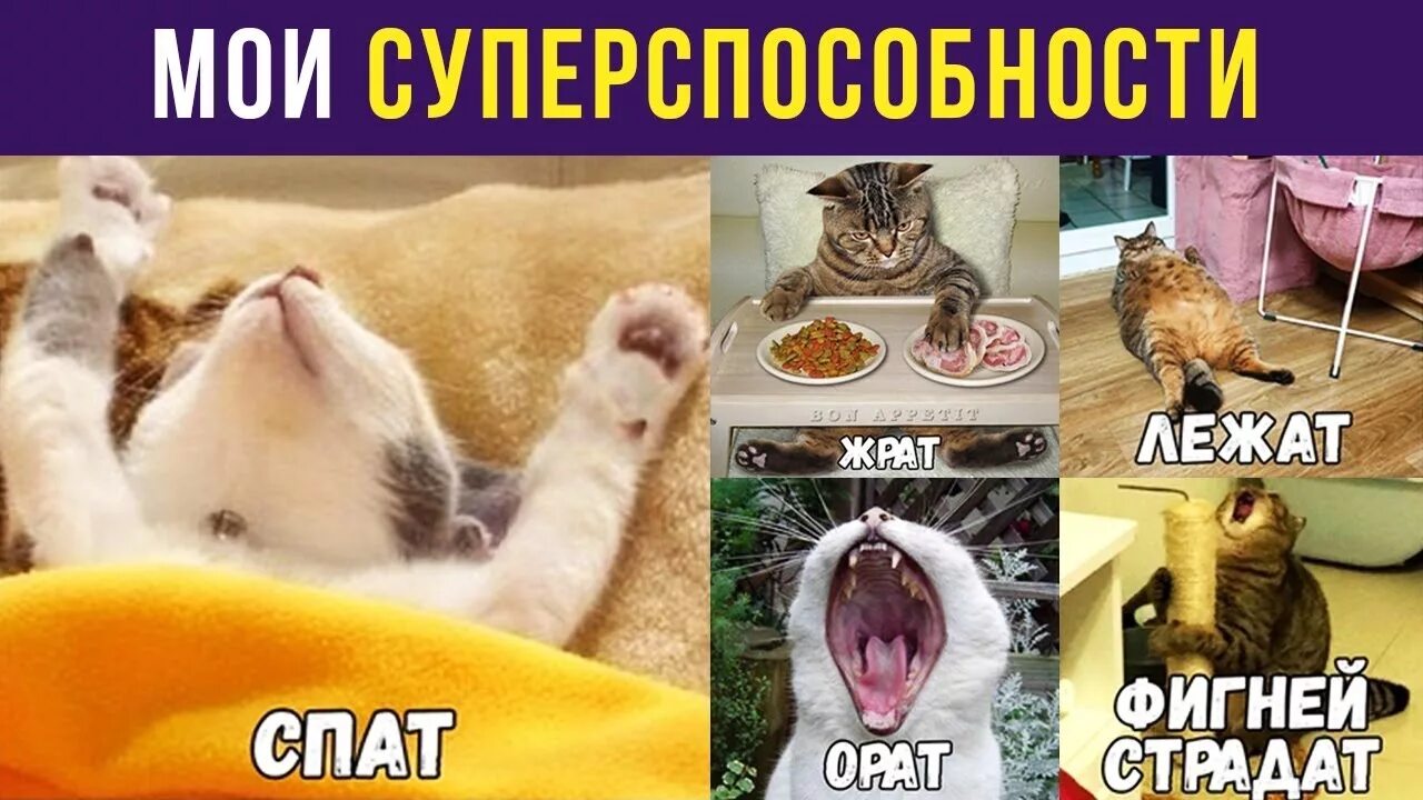 Приколы. В МАГАЗИНЕ / НА КАССЕ Мемозг #324 - YouTube