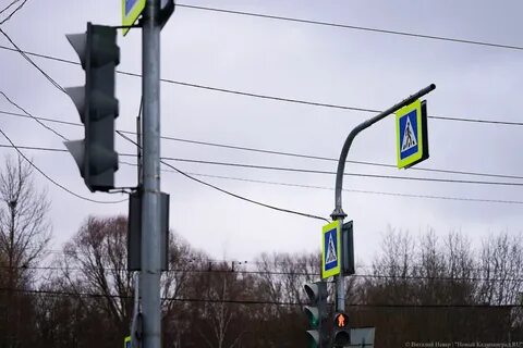 Светофор калининград