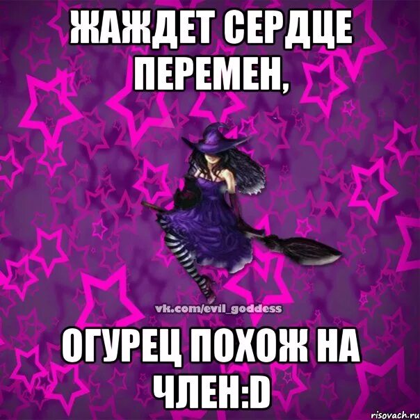 А нет забей. Забей на все картинки. открытка забей на все. забей на всё. картинка забить на все.