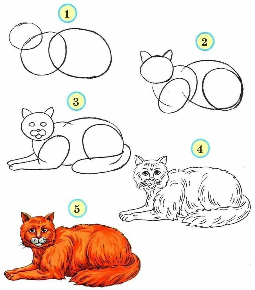Рисовать котенка легко. Поэтапное рисование животных. Схема рисования кота для детей. Поэтапное рисование кошки. Рисование по этапам для детей.