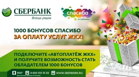 Спасибо оплату получили