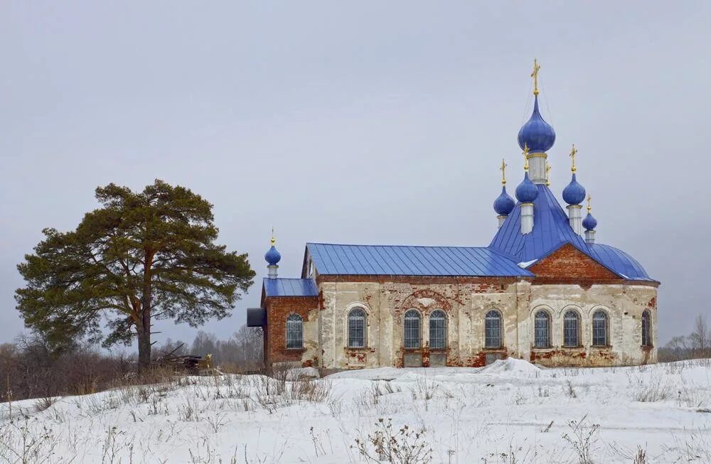 васильково поле крым. васильково поле крым. васильки. деревня васильки тверская область лихославльский район. васильки тверская область лихославльский район.
