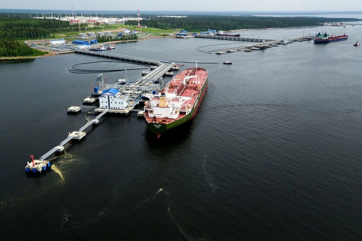 Порт приморск какой субъект. Порт приморск какой субъект. Порт приморск на карте. Порт приморск какой субъект. Порт приморск какой субъект.