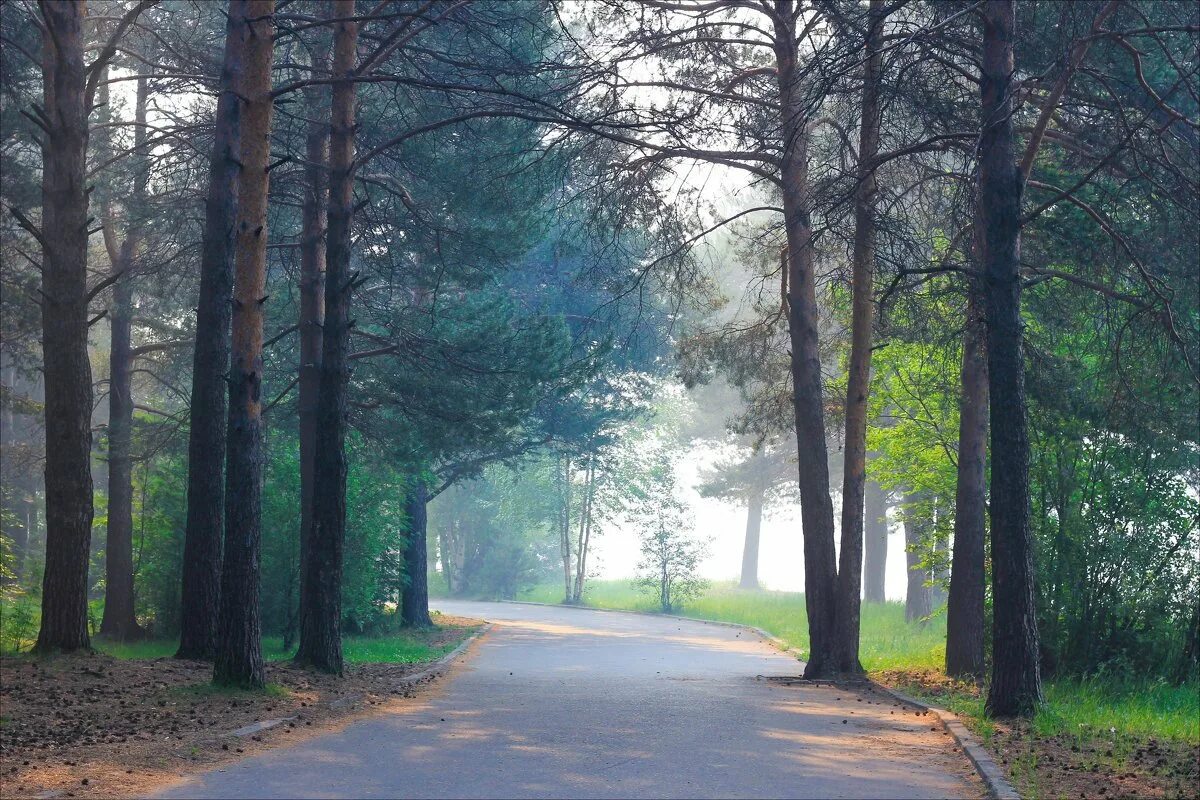 Парк сайма сургут. Парк за саймой сургут. Достопримечательности сургута парк сайма. Парк сайма сургут. Сургут парк фото.