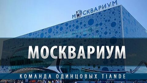 Москвариум сертификат