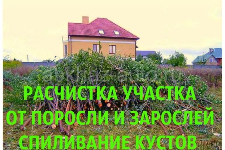 Как очистить участок от деревьев и кустарников. Расчистка участка. расчистка дачного участка. расчистка территории от кустарников. зачистка участка от деревьев и кустарников.