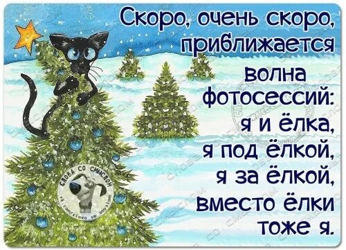 Конец года приближается. Конец года приближается. Конец года приближается. Открытка скоро на работу после отпуска. Май цитаты смешные.