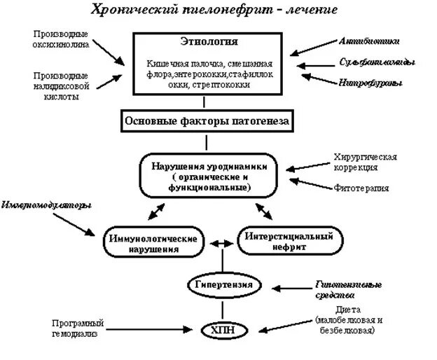 Стационарное лечение пиелонефрита. Схема лечения обострения хронического пиелонефрита. Лечение хронического пиелонефрита схема лечения. Схема лечения хронического пиелонефрита. Патогенез хронического пиелонефрита схема.