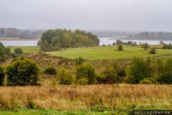 Кресты Куньинский район Псковской. Заповедники в Куньинском районе. Нижельское Куньинский район пейзажи. Псковская область, Куньинский район, Андроново деревня.