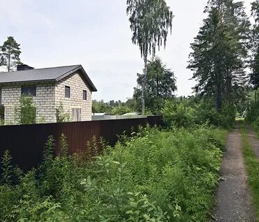 Лебяженское городское поселение ленинградская область