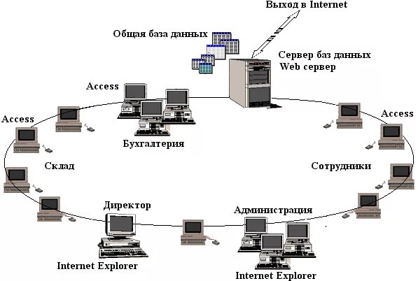 Сетевые данные пример. Сетевая база данных интернет. Схема сетевых баз данных. Сетевая база данных по информатике. Многопользовательские базы данных.