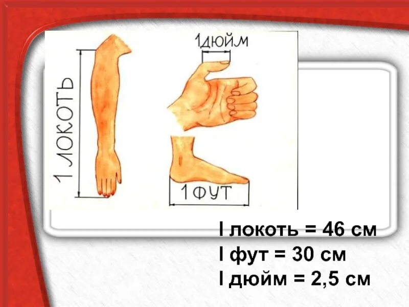 1 фут 2 дюйма. Локоть дюйм фут. Локоть дюйм фут фунт. Локоть фут литр дюйм. Шкала фут дюймов.