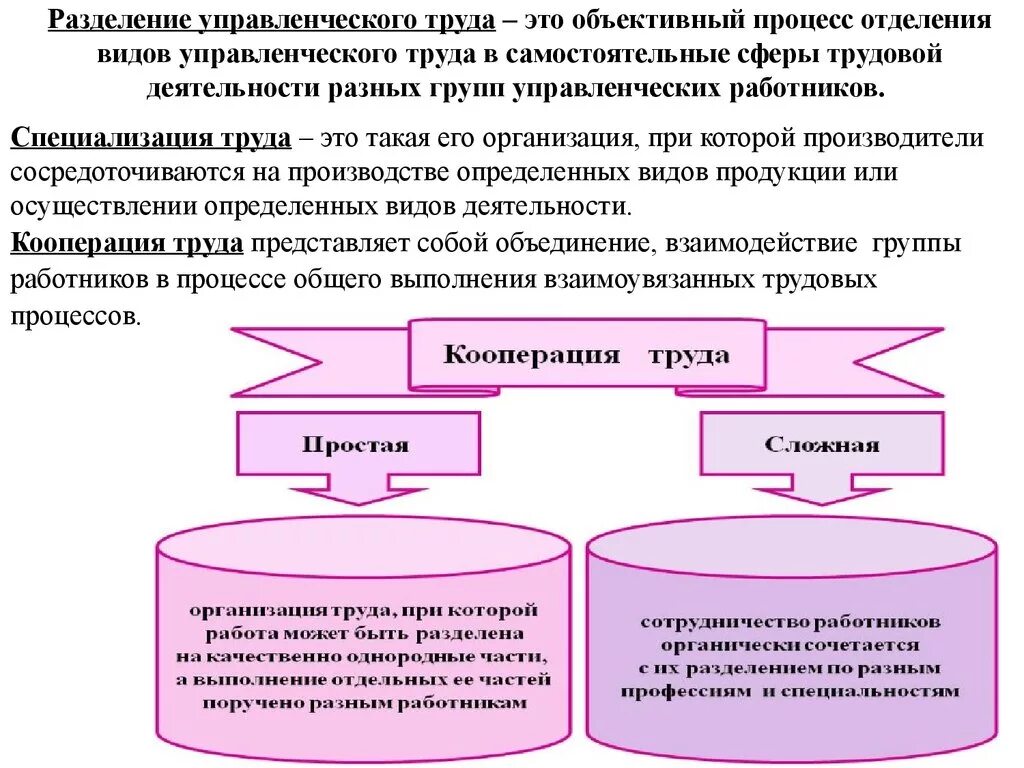 Трудовая кооперация. Разделение и кооперация труда. Формы разделения управленческого труда. Разделение труда в менеджменте. Процесс разделения труда.