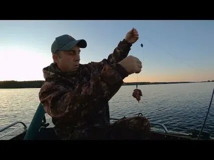Ловля сома на куриную печень летом