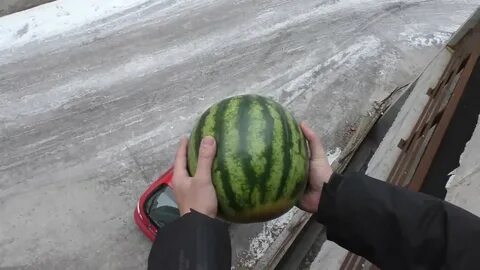 Арбуз на зиму отзывы