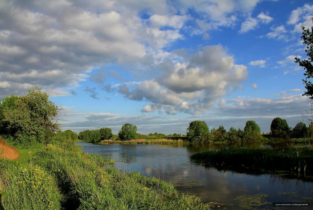 речка пехорка в балашихе. река пехорка в кирилловке. устье реки пехорка. бассейн реки пехорка. река пехорка впадает.