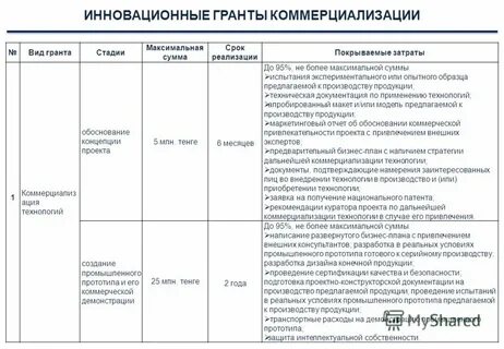 Форма отчета гранта