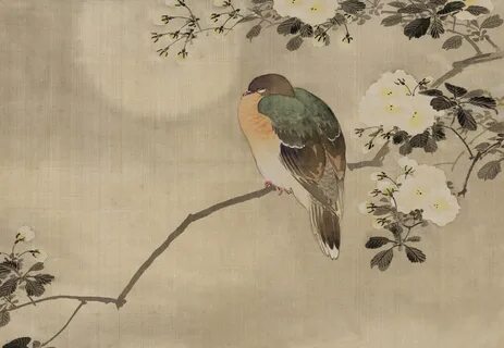 Vintage,japanese,illustration,watercolour,watercolor - free photo from need...