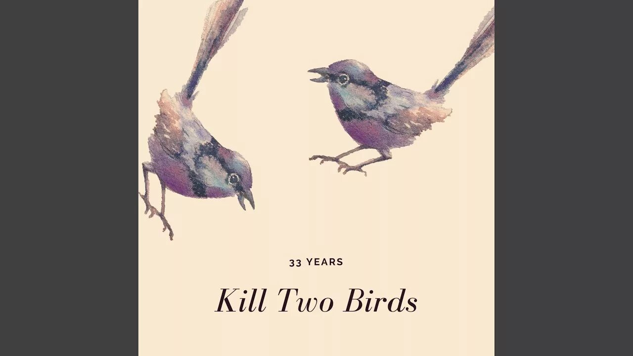 Kill birds. Kill two Birds. To Kill two Birds with one Stone идиома. Песня two Birds. To Kill 2 Birds with one Stone.