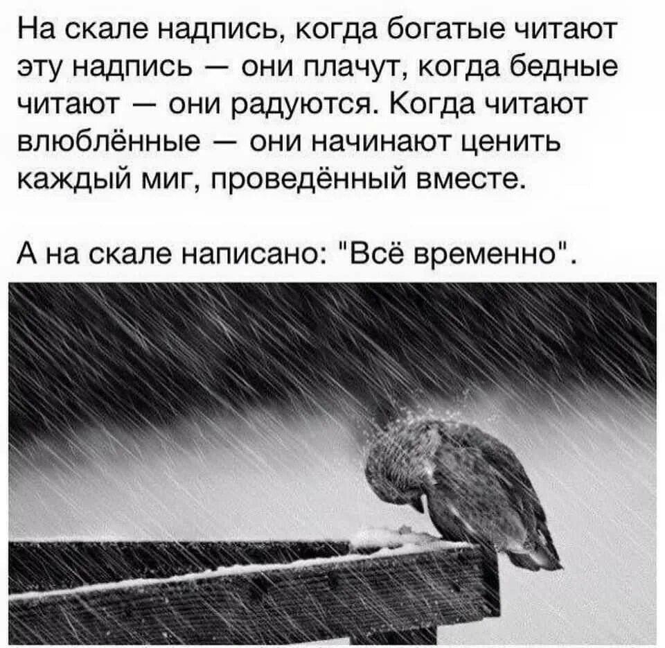 Я люблю тебя как слезы воробья. На скале надпись когда богатые читают. Слезы воробья. На скале надпись когда богатые.