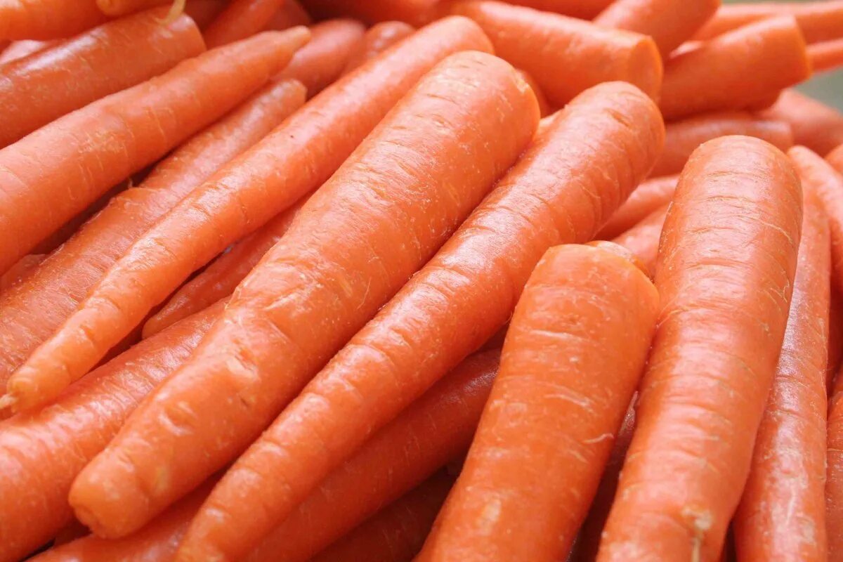 К чему снится морковь свежая. Морковь. Морковь очищенная. Морковь резаная. Морковь вареная.