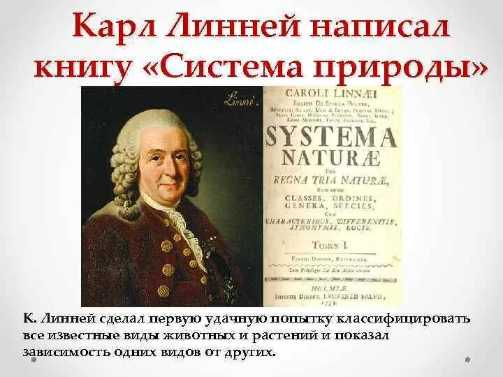Линней выделял. Линней выделял