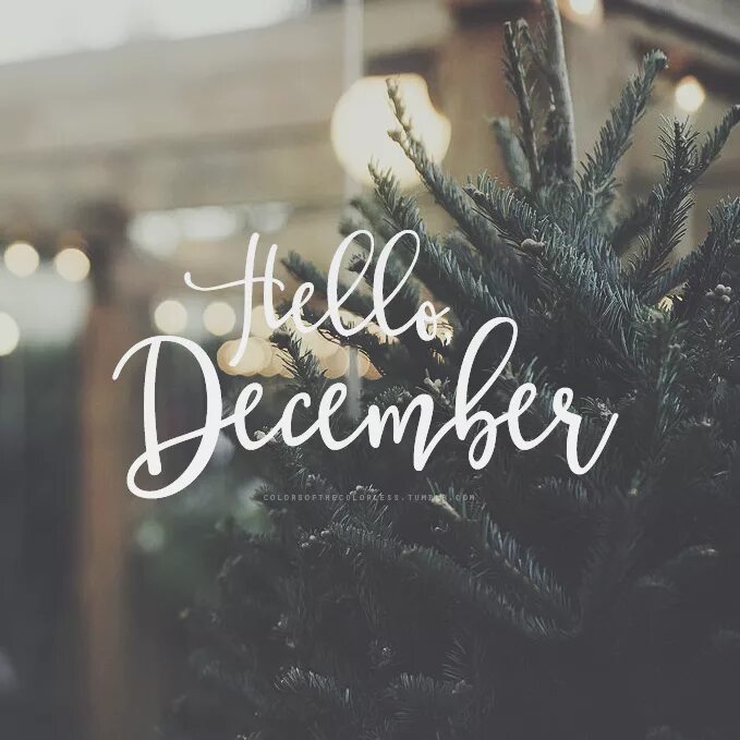 December first. Привет декабрь. Привет декабрь Эстетика. Привет декабрь надпись. Hello December.