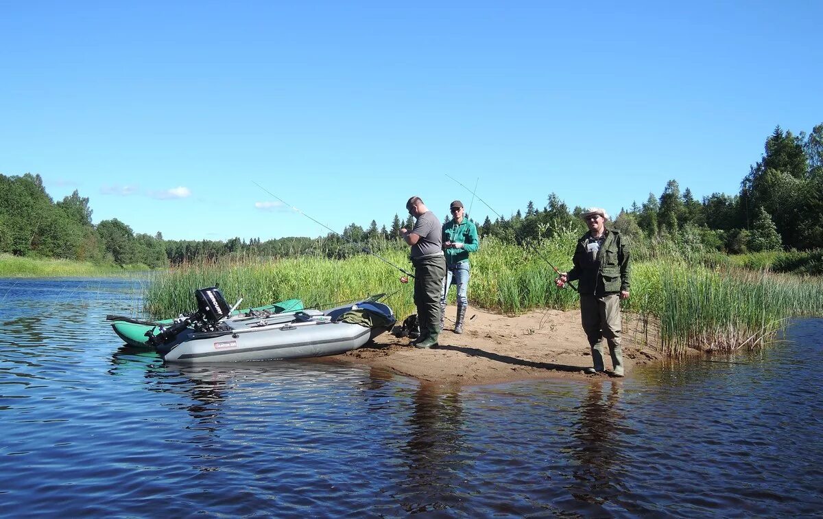 Река кема Вологодская область. Река кема Вологодская область рыбалка. Река Чирка Кемь рыбалка. Рыбалка на реке Кемь. Рыбалка на вологодских озерах