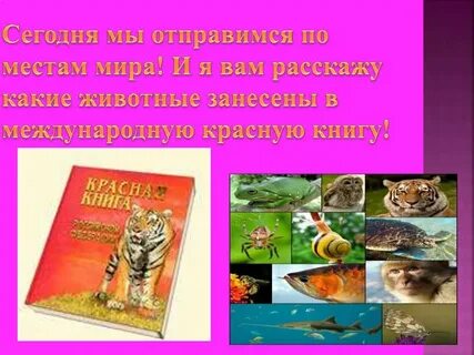 Конспект знакомство с международной красной книгой
