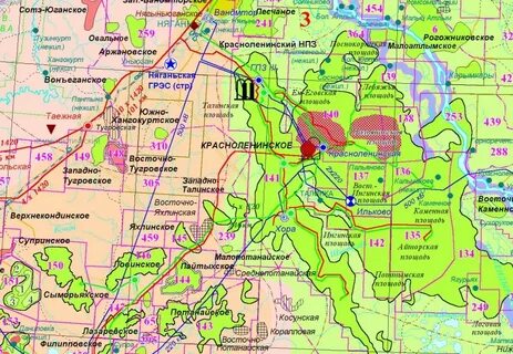 пальяновское нефтяное месторождение