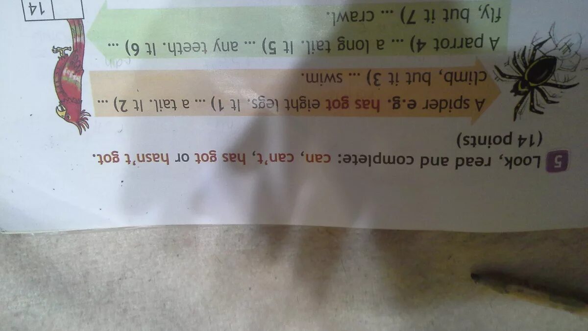 Английский язык look read and complete: can, can’t, has got or hasn't got. Can,can't has got 3 класс. Вставь can, can not, has got,. Look read and complete can can't has got or hasn't got 3 класс.