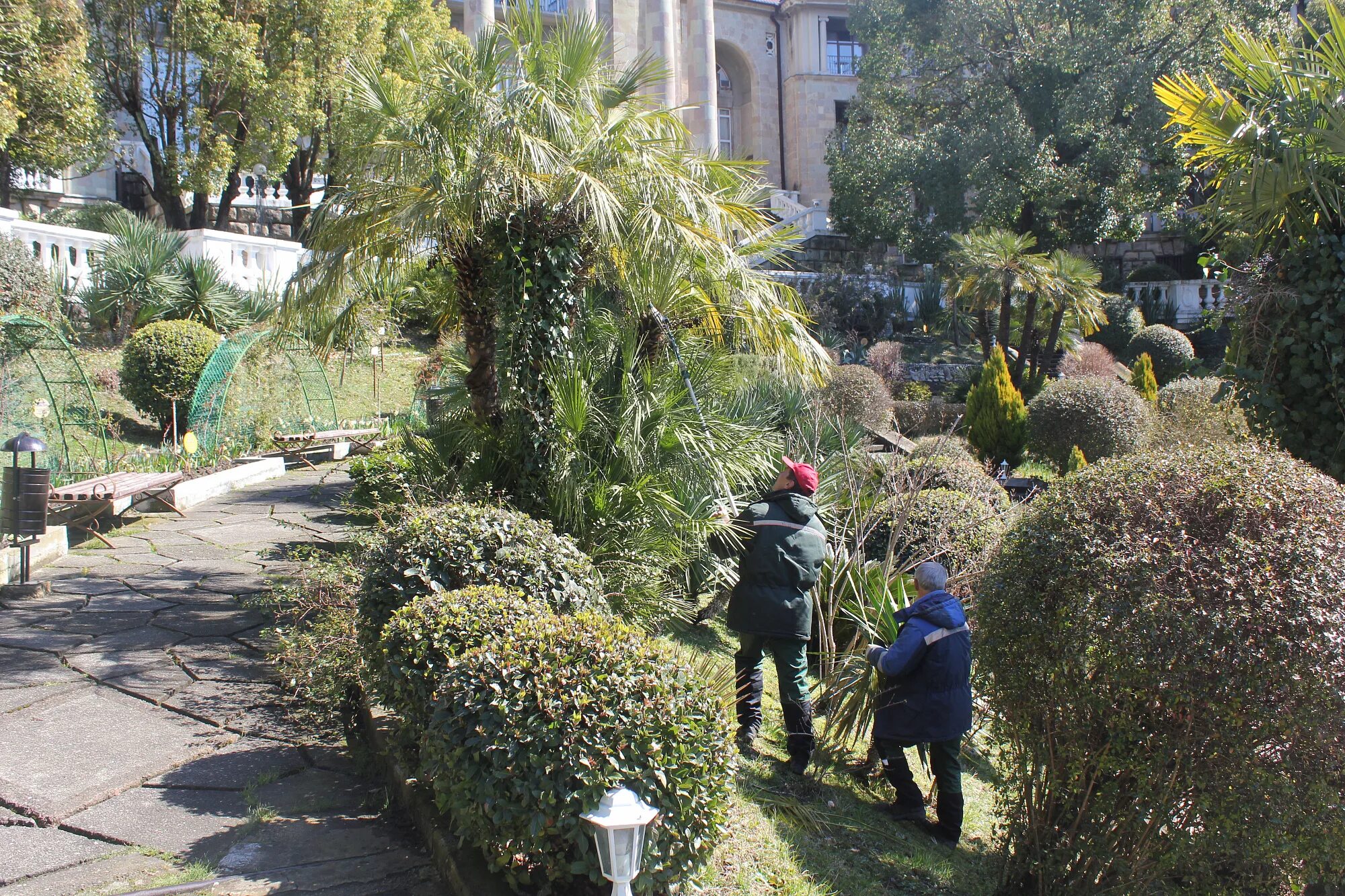 Серебряный возраст. Одиссея санаторий сочи лазаревское. Акции в санатории сочи для пенсионеров. Санатории сочи для пенсионеров. Санатории сочи для пенсионеров.