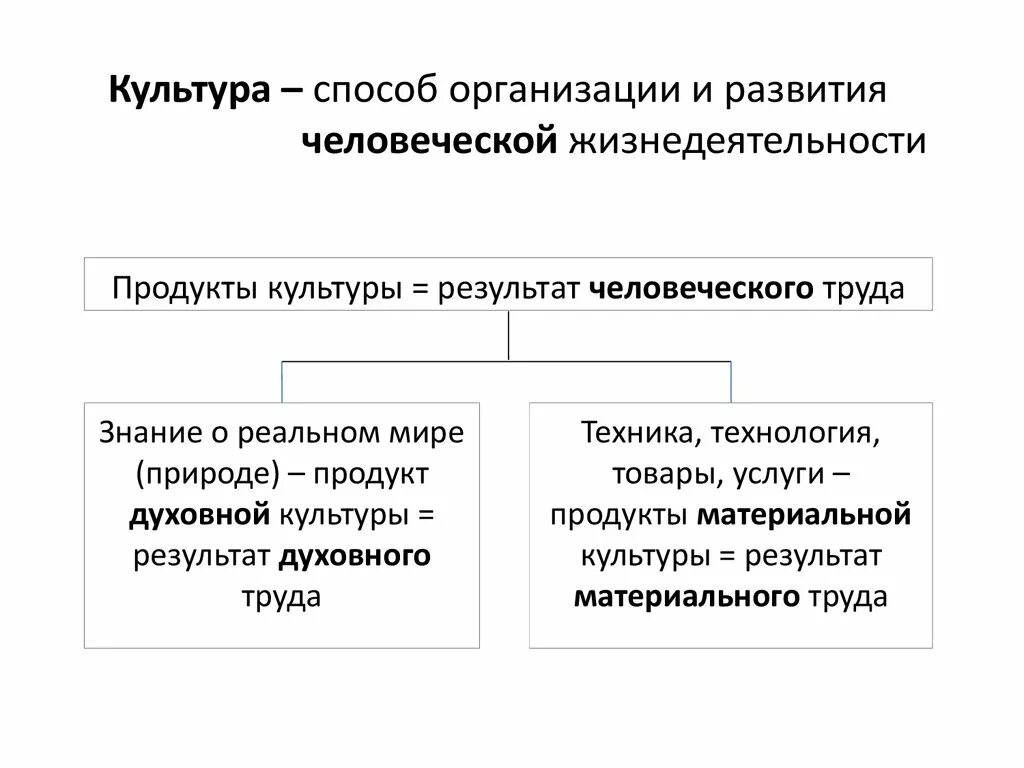 Способ организации развития человеческой жизнедеятельности