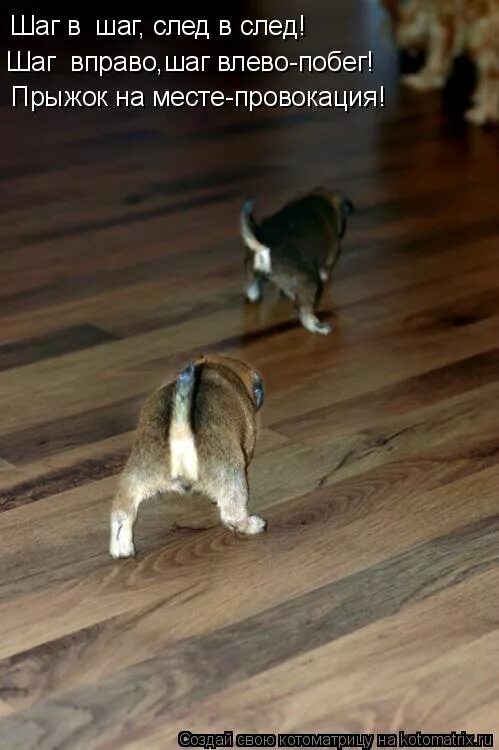 По ш. 2 шага налево 2 шаги. Шаг назад два вперед. 2 шага налево 2 шаги. Школа соломона ноты для фортепиано.