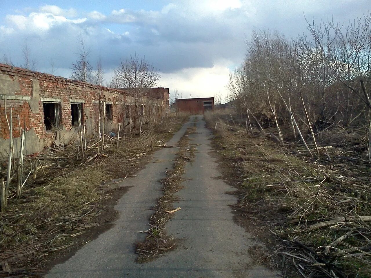 Поселок октябрьский россия. Заброшенные фермы Ржевского района. Заброшенные фермы Копорье. Заброшенная ферма Ильинское Домодедовский район. Заброшенная ферма деревня Мякишево.